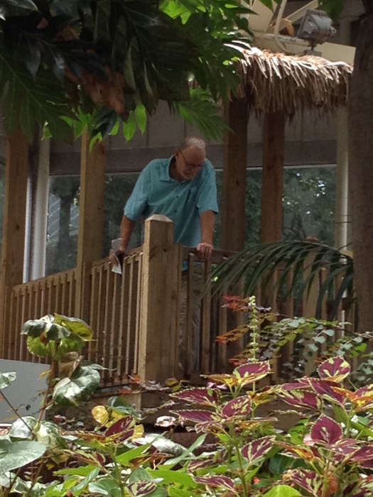 Dale overlooking the gardens
